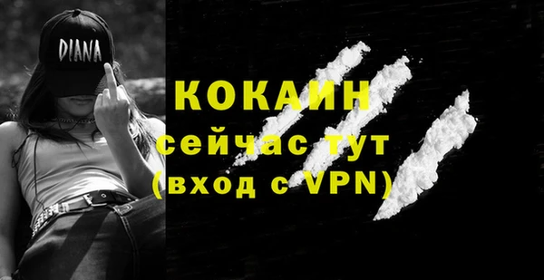 гидра Верхний Тагил