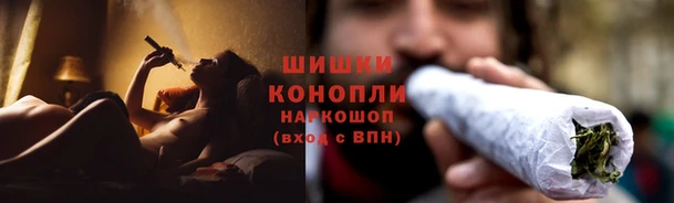 мяу мяу мука Бородино