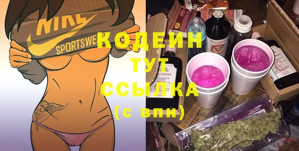 гидра Верхний Тагил