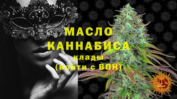 гидра Верхний Тагил