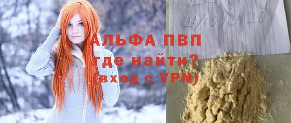 гидра Верхний Тагил