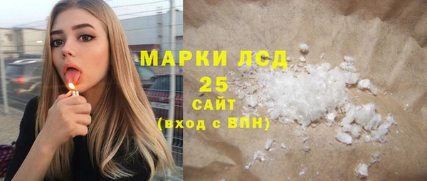 гидра Верхний Тагил