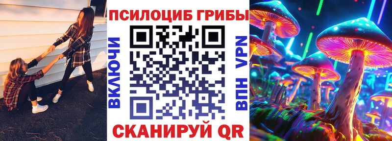 закладка Волжский Псилоцибиновые грибы прущие грибы